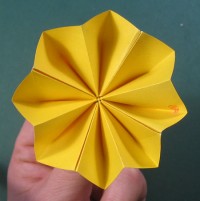 tulipan foldes, 01