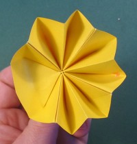 tulipan foldes, 04