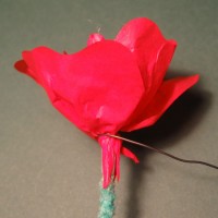 rose foldes, 08b