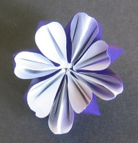 Blomst 4