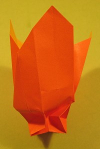 tulip foldes, 11