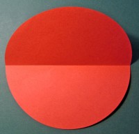 Nem cirkelblomst foldes, 03