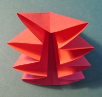 Nem cirkelblomst foldes, 06