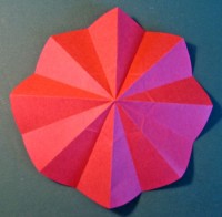 Nem cirkelblomst foldes, 09