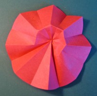 Nem cirkelblomst foldes, 10