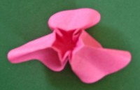 Flot cirkelblomst foldes, 05