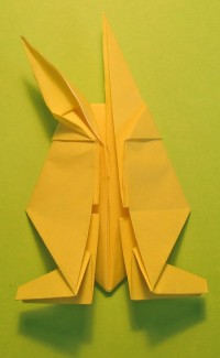 hare foldes, 33