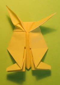 hare foldes, 34