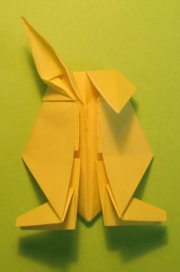 hare foldes, 35