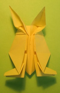 hare foldes, 36
