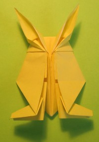 hare foldes, 37