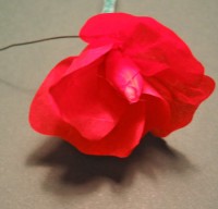 rose foldes, 09b