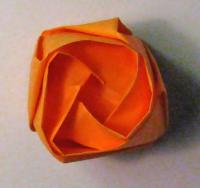 rose foldes, 50