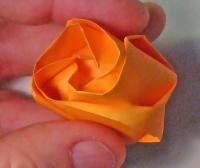 rose foldes, 52