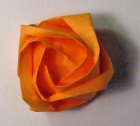 rose foldes, 53