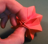 roset foldes, 08