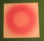 Sharonfrugt foldes, 01