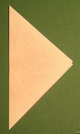 Sharonfrugt foldes, 04