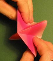 Sharonfrugt foldes, 09