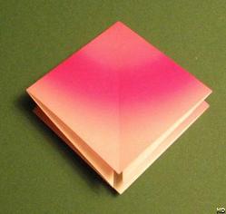 Sharonfrugt foldes, 10