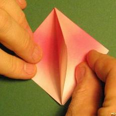 Sharonfrugt foldes, 11