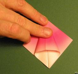 Sharonfrugt foldes, 12