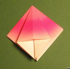 Sharonfrugt foldes, 13