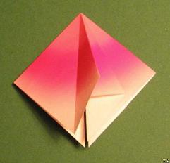 Sharonfrugt foldes, 14