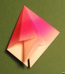 Sharonfrugt foldes, 15