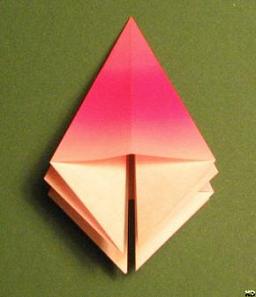 Sharonfrugt foldes, 16