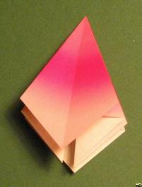 Sharonfrugt foldes, 18