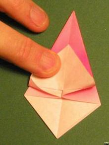 Sharonfrugt foldes, 19