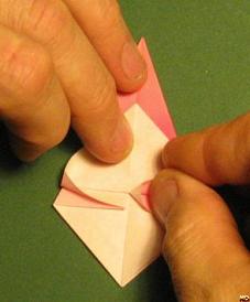 Sharonfrugt foldes, 20