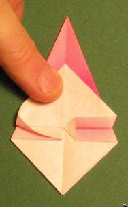 Sharonfrugt foldes, 21