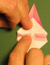 Sharonfrugt foldes, 22