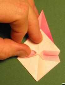 Sharonfrugt foldes, 23