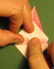 Sharonfrugt foldes, 24