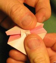 Sharonfrugt foldes, 26