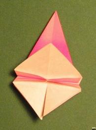 Sharonfrugt foldes, 29