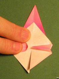 Sharonfrugt foldes, 30