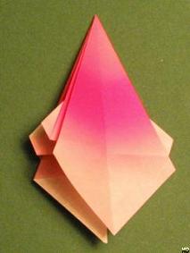 Sharonfrugt foldes, 32