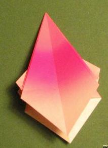 Sharonfrugt foldes, 34