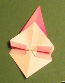 Sharonfrugt foldes, 35