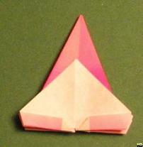 Sharonfrugt foldes, 37