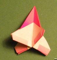 Sharonfrugt foldes, 38