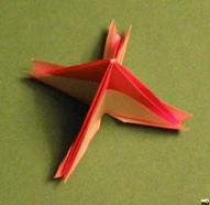 Sharonfrugt foldes, 39