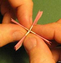 Sharonfrugt foldes, 40