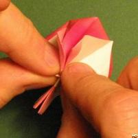 Sharonfrugt foldes, 41