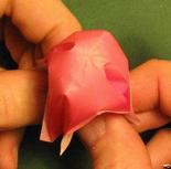 Sharonfrugt foldes, 42