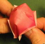 Sharonfrugt foldes, 43